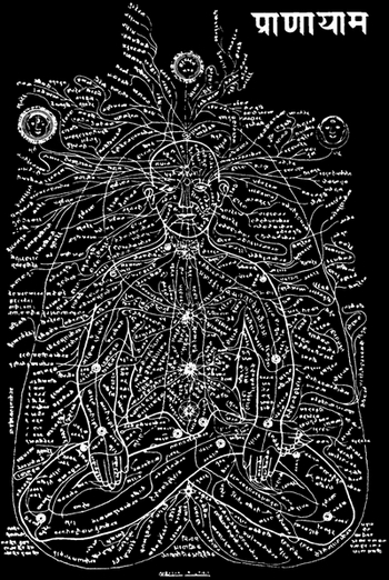 The nadis and the major and minor chakras